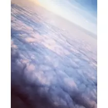 ゆかり