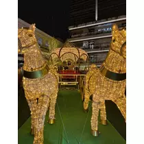 七星 舞冬