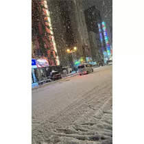 北乃 アリス