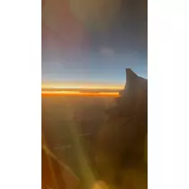 ティラノまな