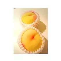 さくら
