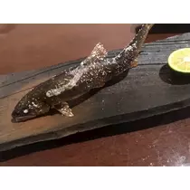 美月