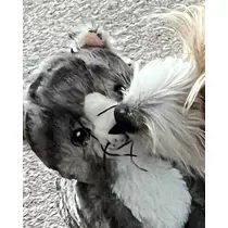 緑 四葉