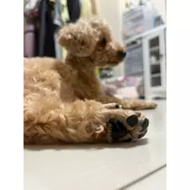 あいりちゃん