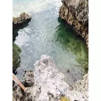ゆかり