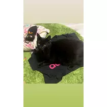 響