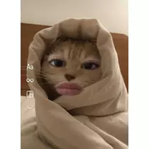 ゆか