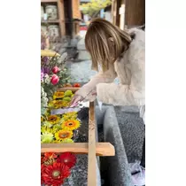 姫花
