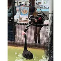あいら