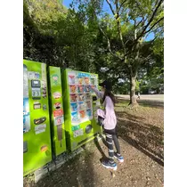 七星 舞冬