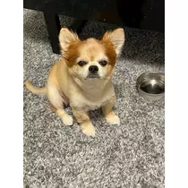片桐 さやか