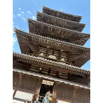 橘 美咲
