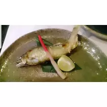 紫音