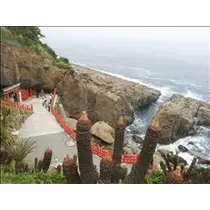 桃瀬 百華