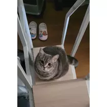 りか