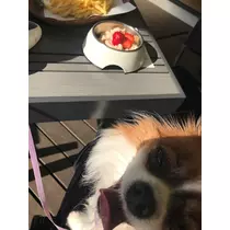 あいら