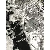 るい