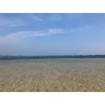 りえ