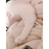 あこ