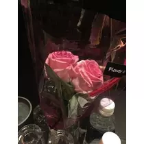 白石 愛莉