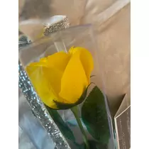 れいな