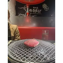 司