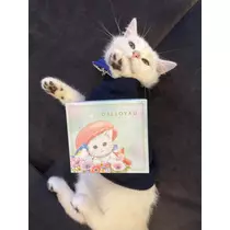 ゆり