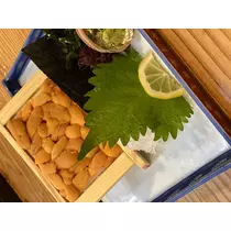 司