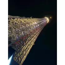 紗貴