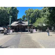 椿