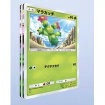 七星 夏純