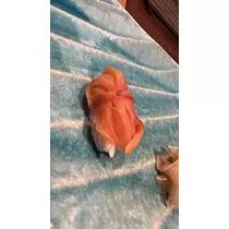 あいり