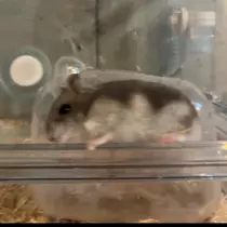 ゆな
