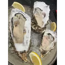 花咲 みらい