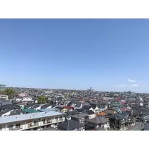 はつね