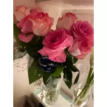 立華 碧