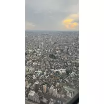 華宮 りりあ