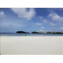 愛羽 仁美