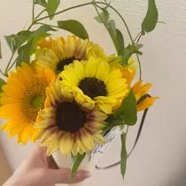 涼夏 みな