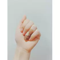 さくら