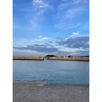 成海 まお