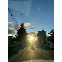 紬 むぎ