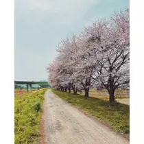 ゆかり