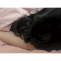綾瀬 優
