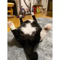 桐島 りゅう