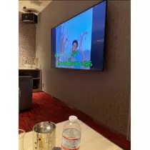 宝條 夏恋