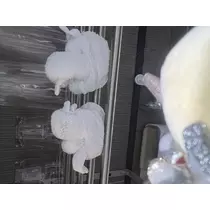 あいり