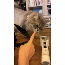 ミヅキ