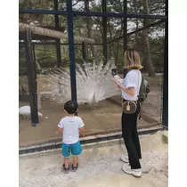 なお