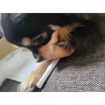 姫宮 あい